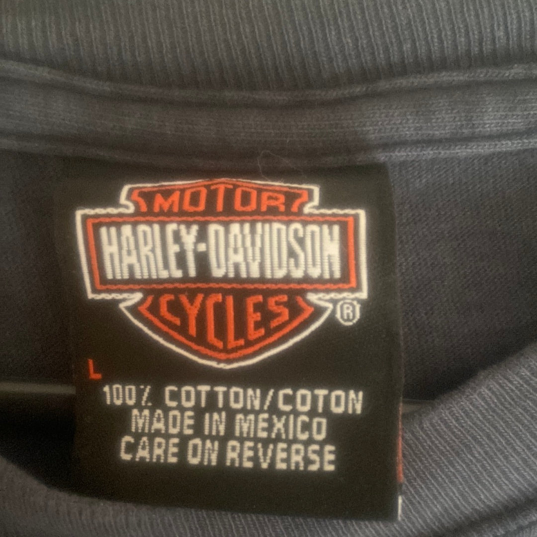 Harley Davidson Tee - Large