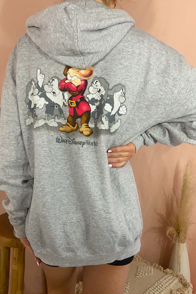 Disney Zip Hp Hoodie