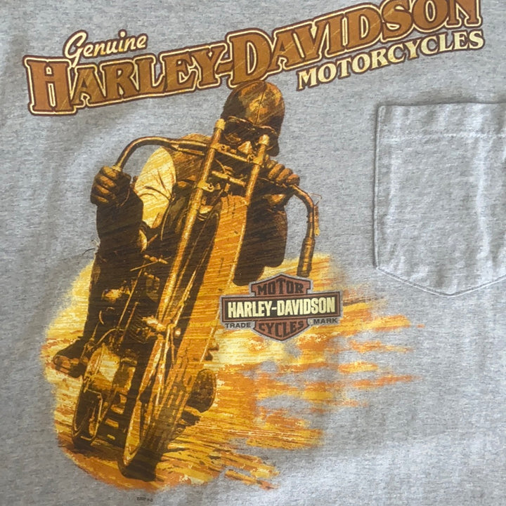 Harley Davidson Cut off Singlet / Tee