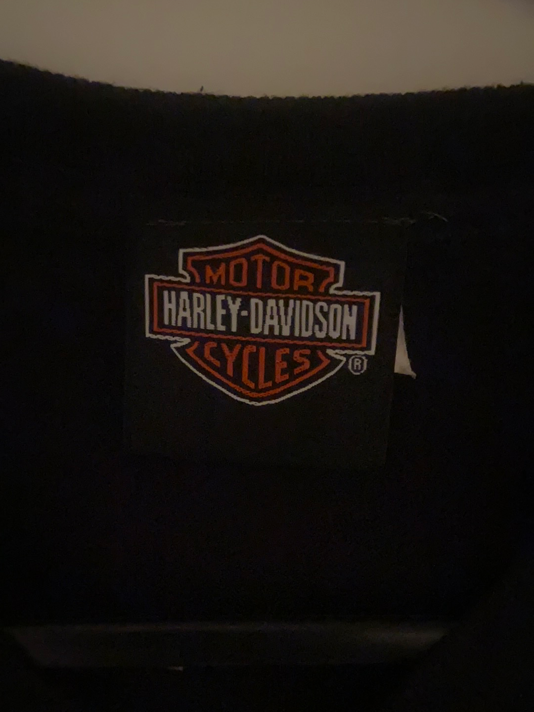 Harley Davidson Tee - youth large