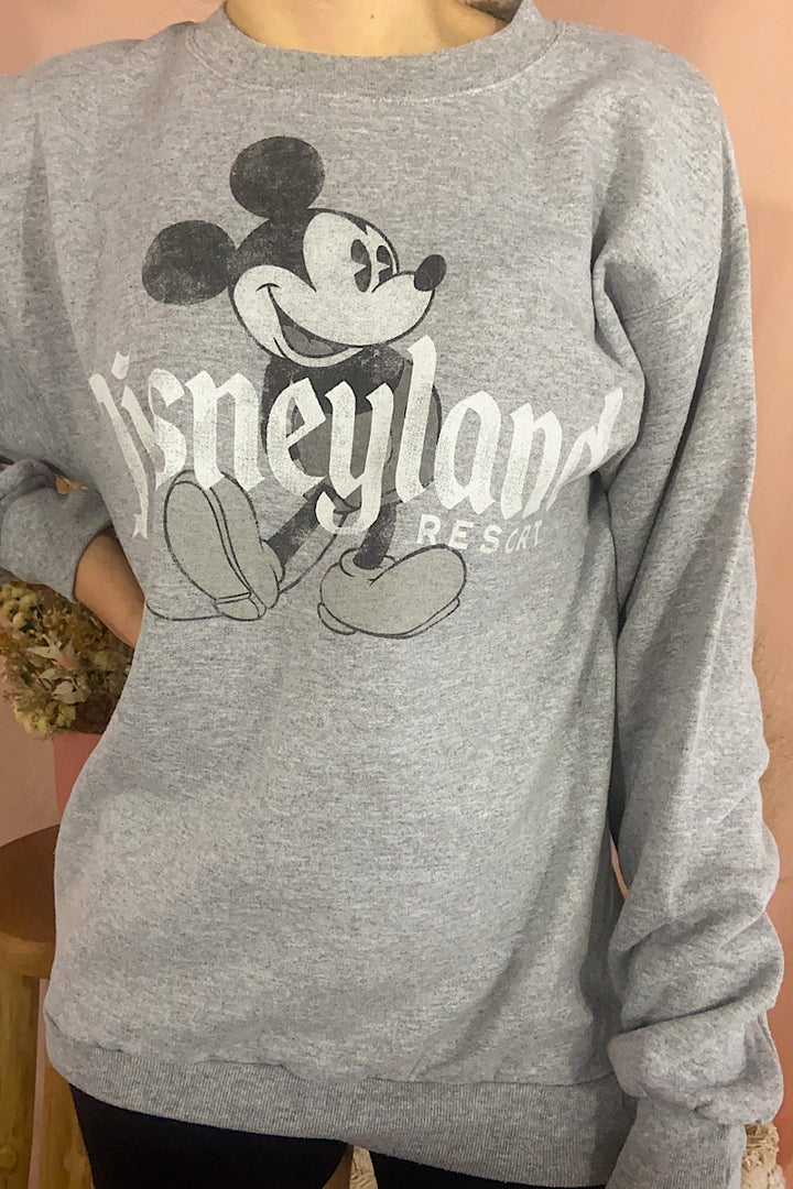 Disney Sweatshirt - Small