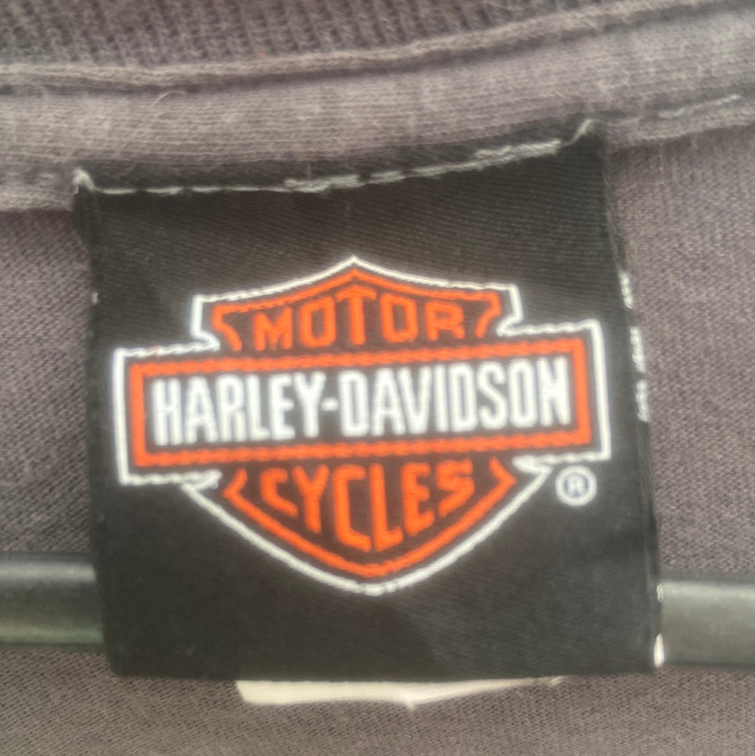 Restyled Harley Davidson Tee - 3XL