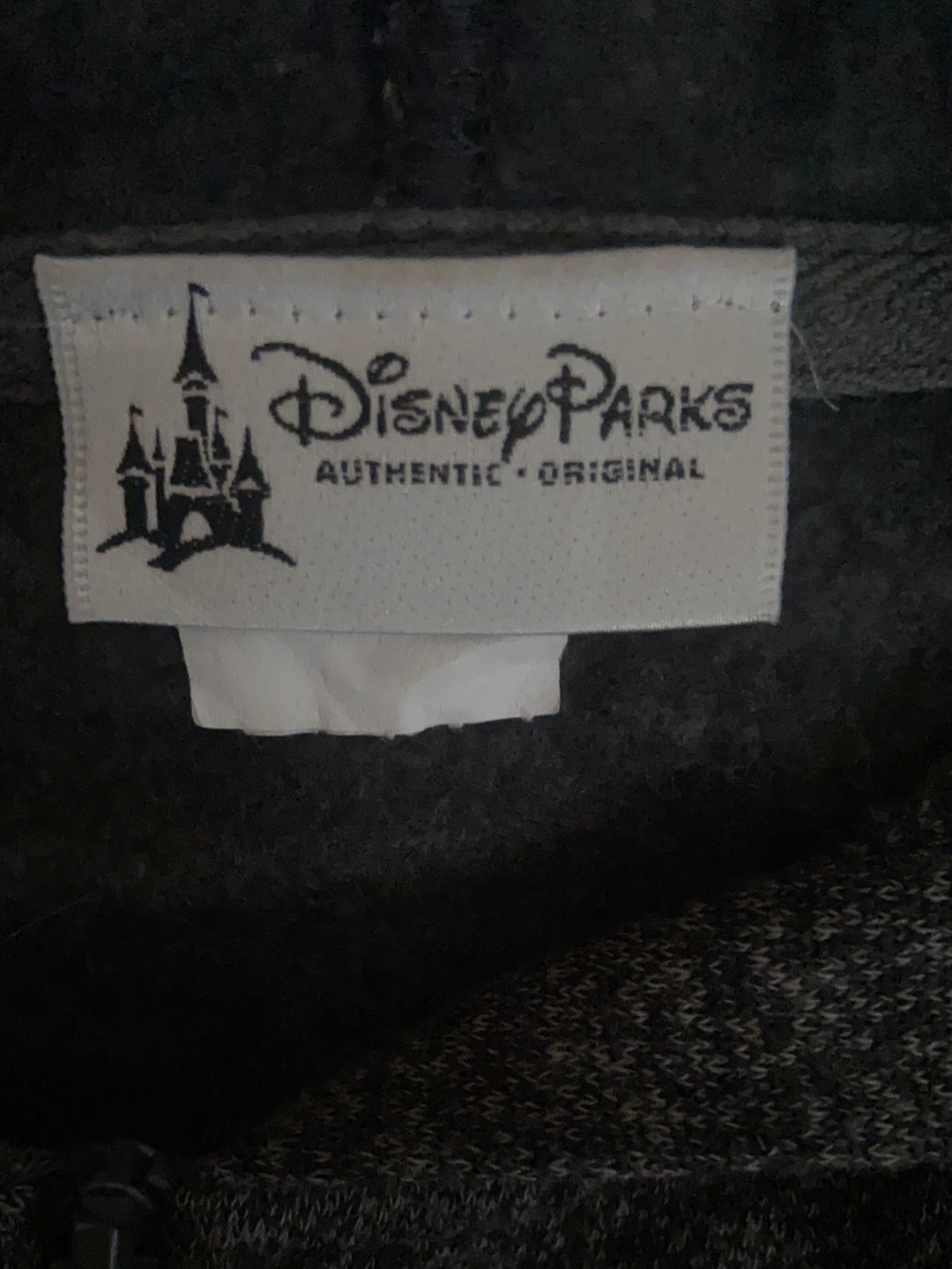 Disney Zip Up Hoodie