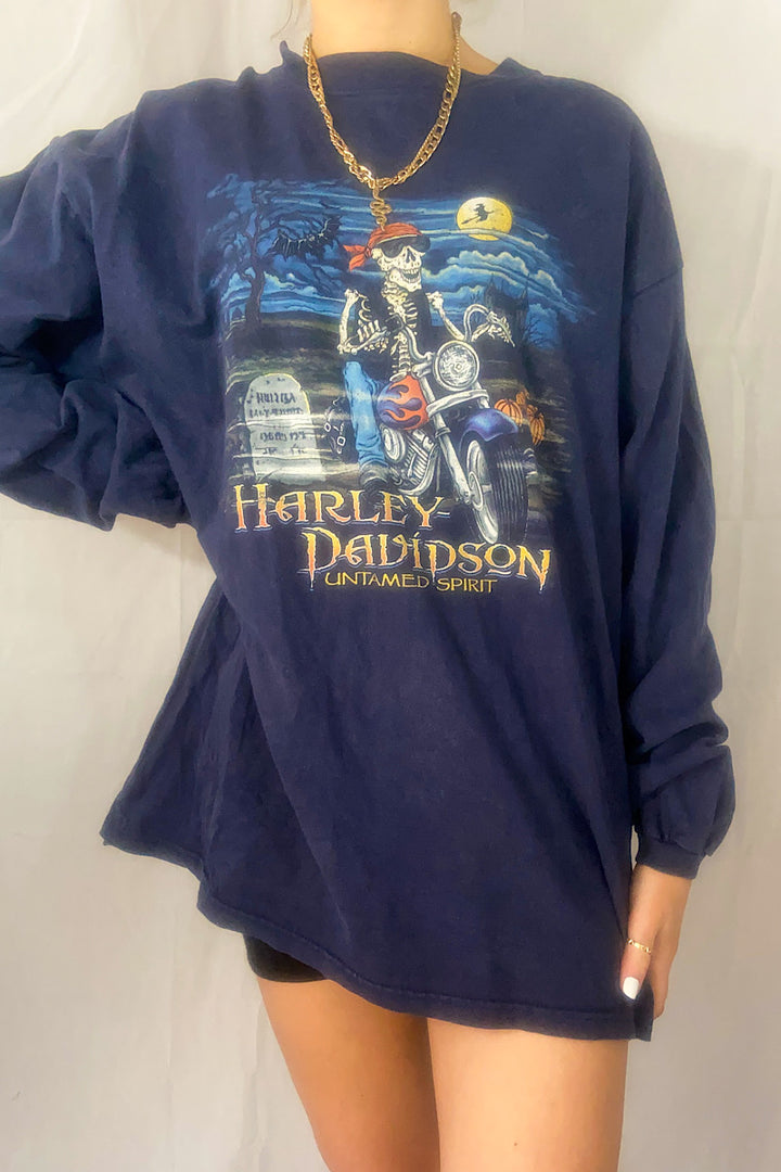 Harley Davidson Vintage Long Sleeve Tee