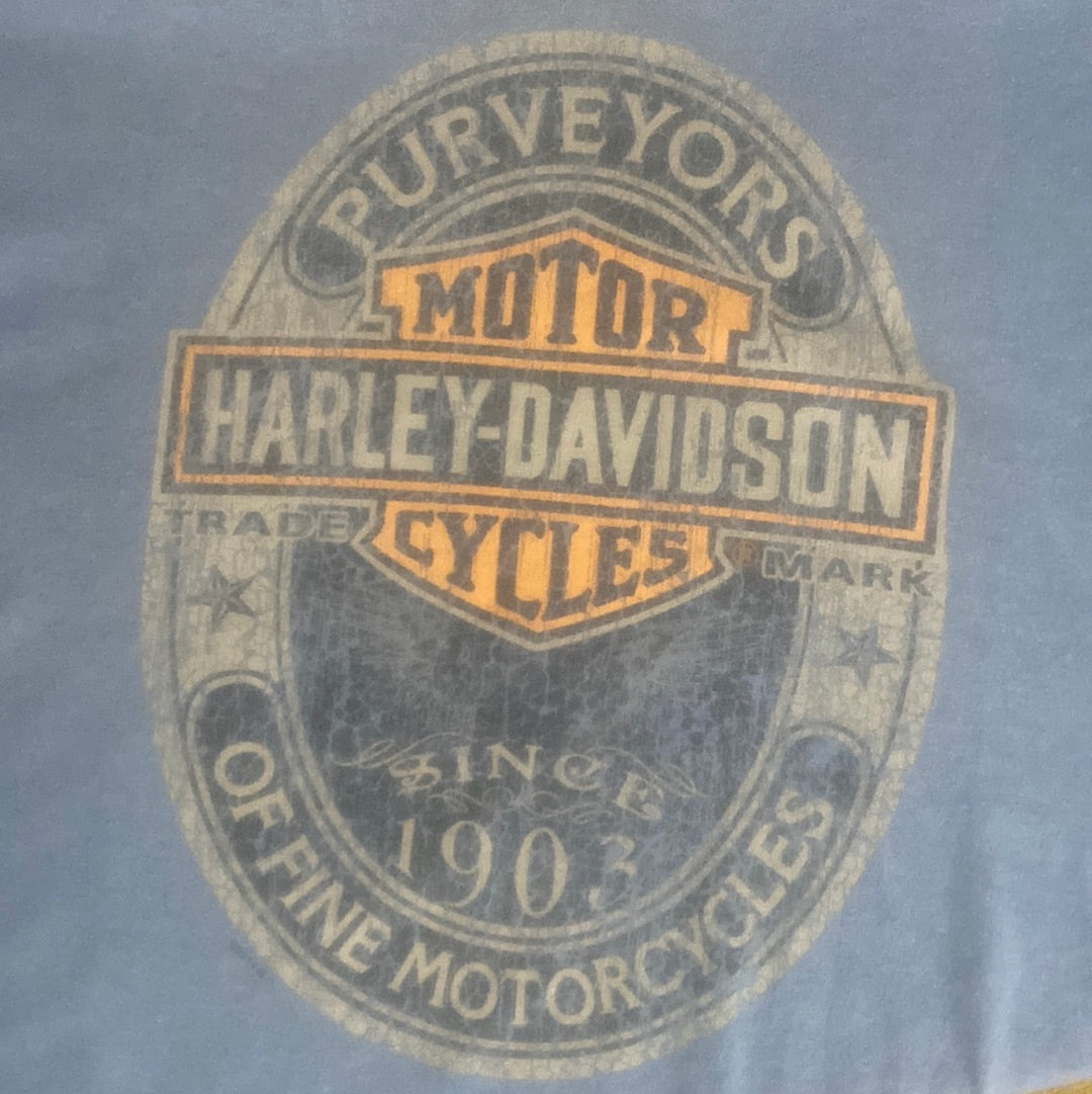 Harley Davidson Tee - XL