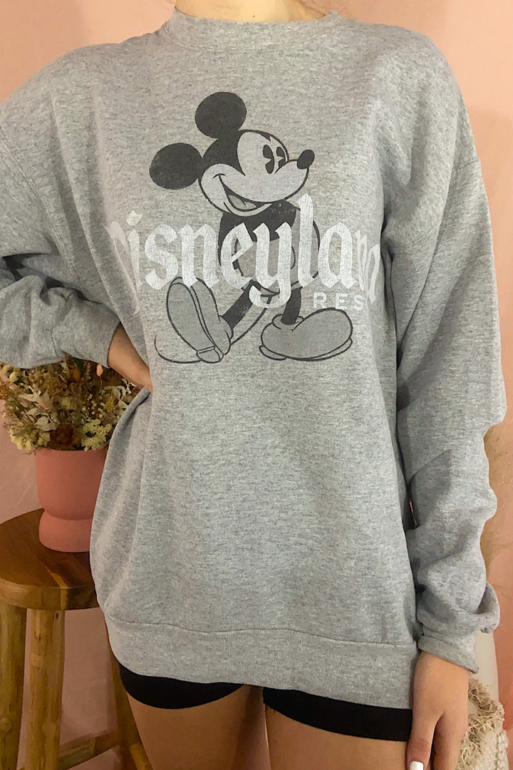 Disney Sweatshirt - Medium