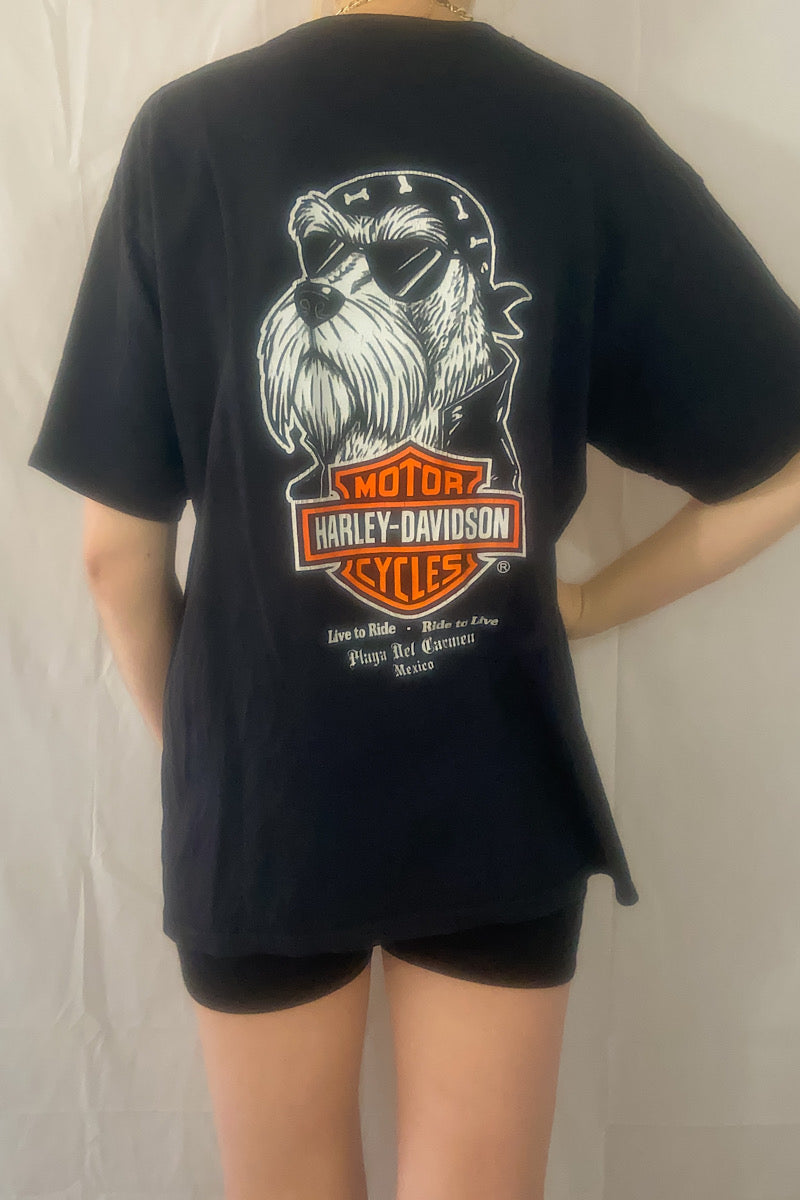 Harley Davidson Tee - Small