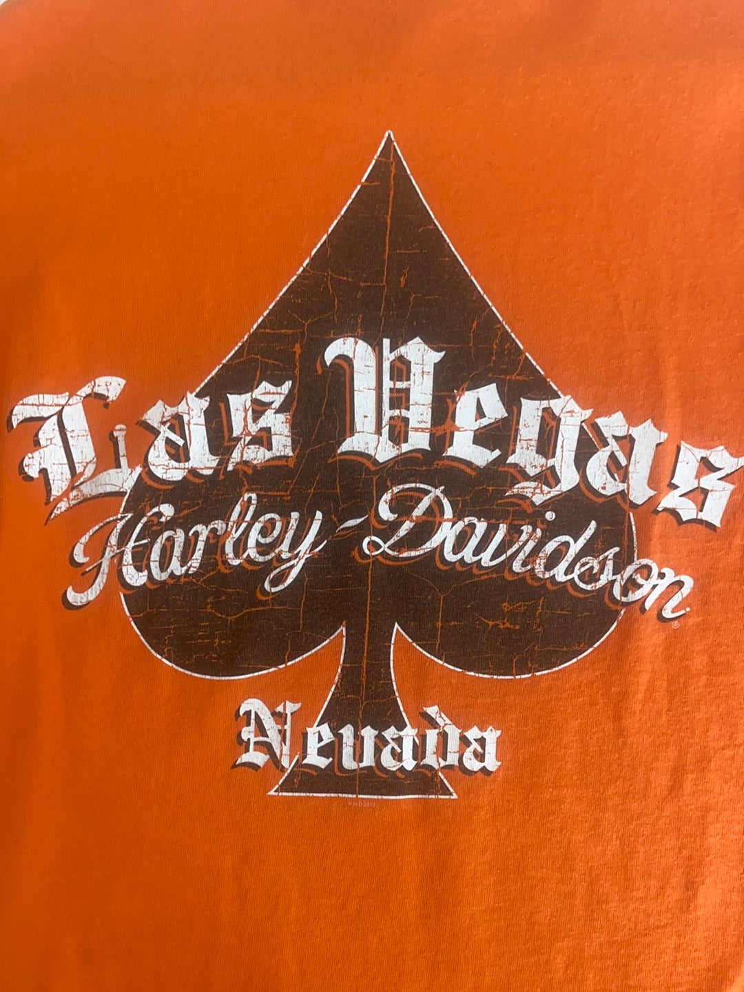 Harley-Davidson Tee - Large