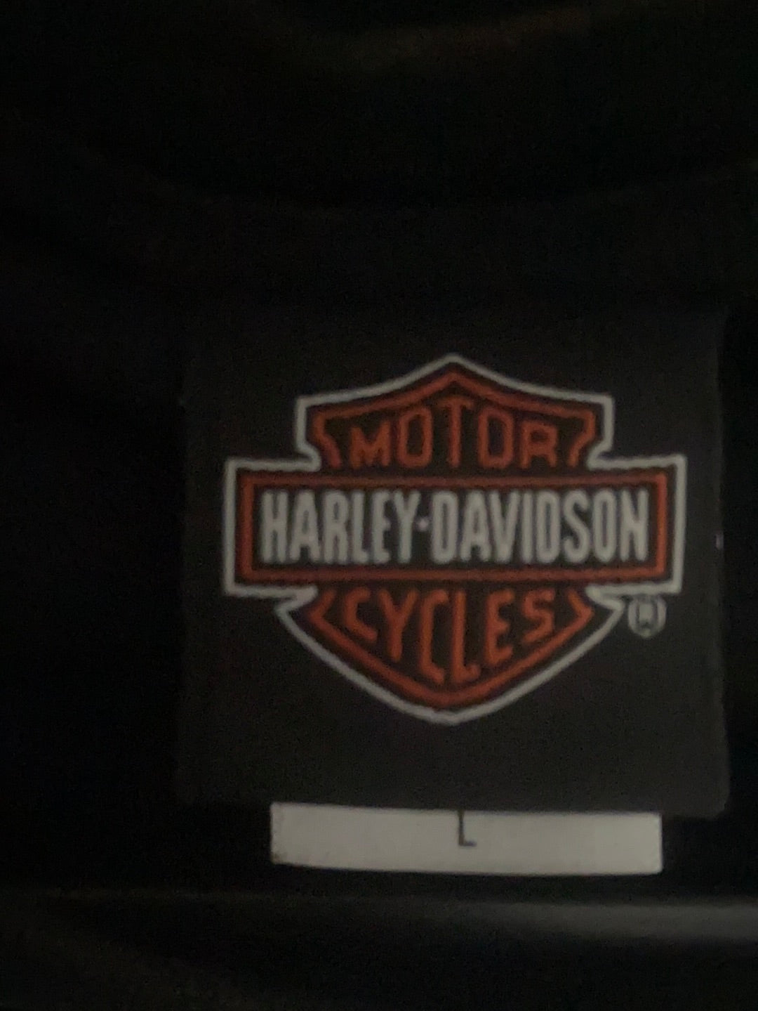 Harley Davidson Tee - Large